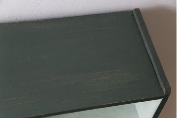 ペイント家具　5段　個性的なバイカラーがおしゃれな薄型オープンラック(飾り棚、収納棚)