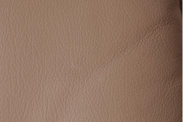 中古　富士ファニチア(FUJI FUNITURE)　キャスター付き　個性的なフレームが目を引くオリジナル座面のダイニングチェア(アームチェア)(3)