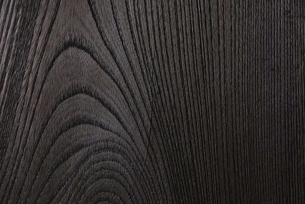 和製アンティーク　総ケヤキ材　無骨な雰囲気を漂わせるシンプルな蔵戸(引き戸、建具、玄関戸)