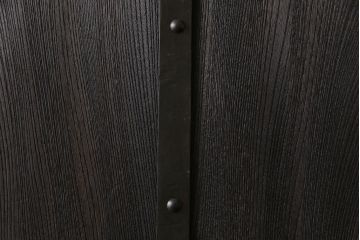 和製アンティーク　総ケヤキ材　無骨な雰囲気を漂わせるシンプルな蔵戸(引き戸、建具、玄関戸)