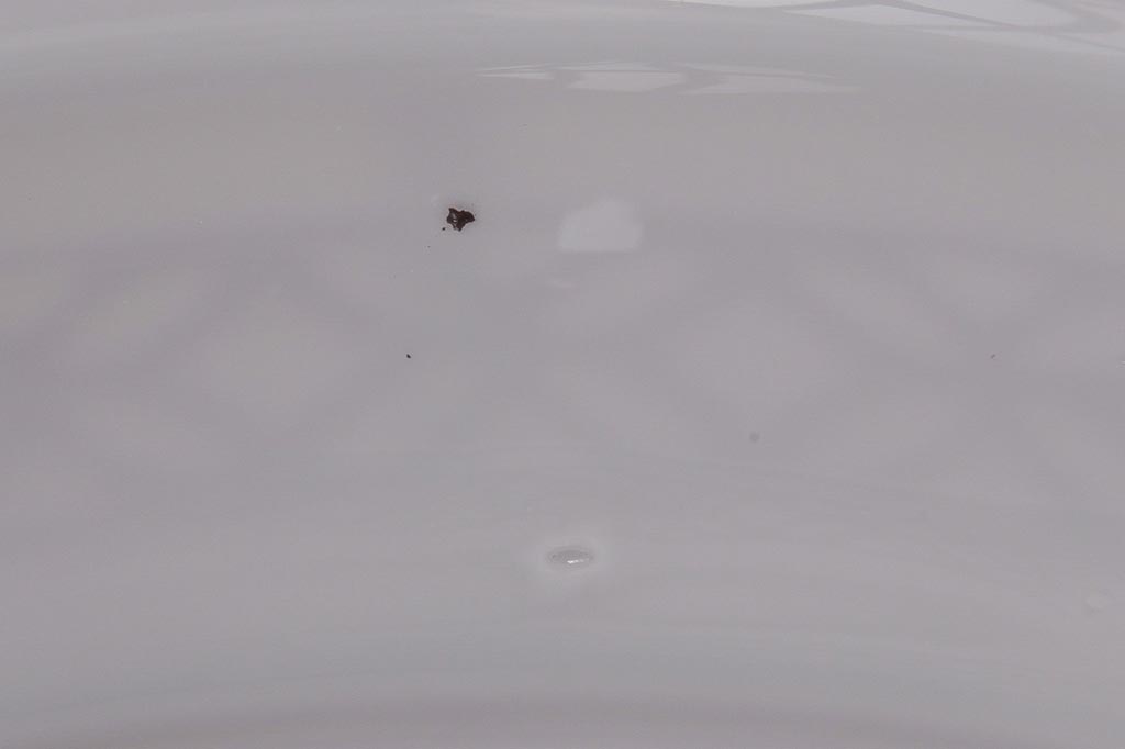 昭和期　花のモチーフが可愛らしいレトロなペンダントライト(天井照明、シェード)(1)