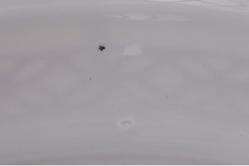 昭和期　花のモチーフが可愛らしいレトロなペンダントライト(天井照明、シェード)(1)