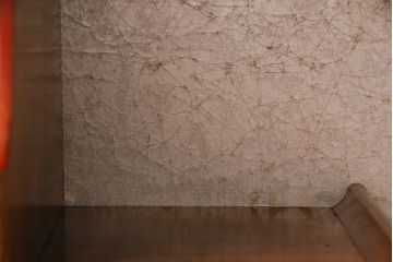 レトロ家具　レトロ　小振り　上品な和の風情を感じられるガラス扉つき飾り棚(ガラスケース、収納棚)