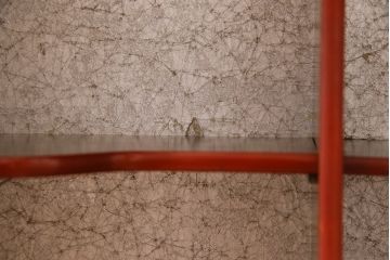 レトロ家具　レトロ　小振り　上品な和の風情を感じられるガラス扉つき飾り棚(ガラスケース、収納棚)