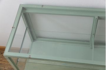 ペイント家具　モールガラス入り　引き戸収納付きレトロなガラスケース(ショーケース、陳列棚、飾り棚)