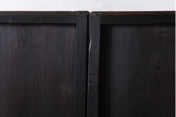 【商談品】和製アンティーク　明治期　古い木の質感が味わい深い板戸2枚セット(帯戸、引き戸、建具)