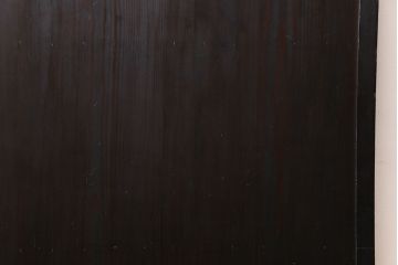 【商談品】和製アンティーク　明治期　古い木の質感が味わい深い板戸(帯戸、引き戸、建具)