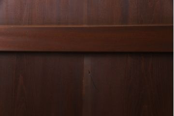 和製アンティーク　珍しいイチョウ材を使った板戸(引き戸、建具)