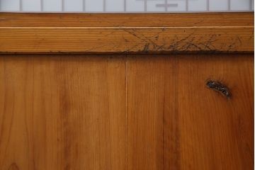 昭和初期　両面ガラス　日本風情漂う組子帯戸4枚セット(ガラス帯戸、引戸、建具)