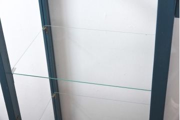 ペイント家具　縦型デザイン　シックなペイントカラーが素敵なガラスケース(ショーケース、飾り棚、陳列棚)