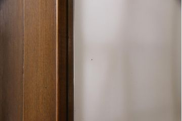 レトロ家具　昭和初期　タモ材　パーケット　レトロモダンなワードローブ(洋服タンス)