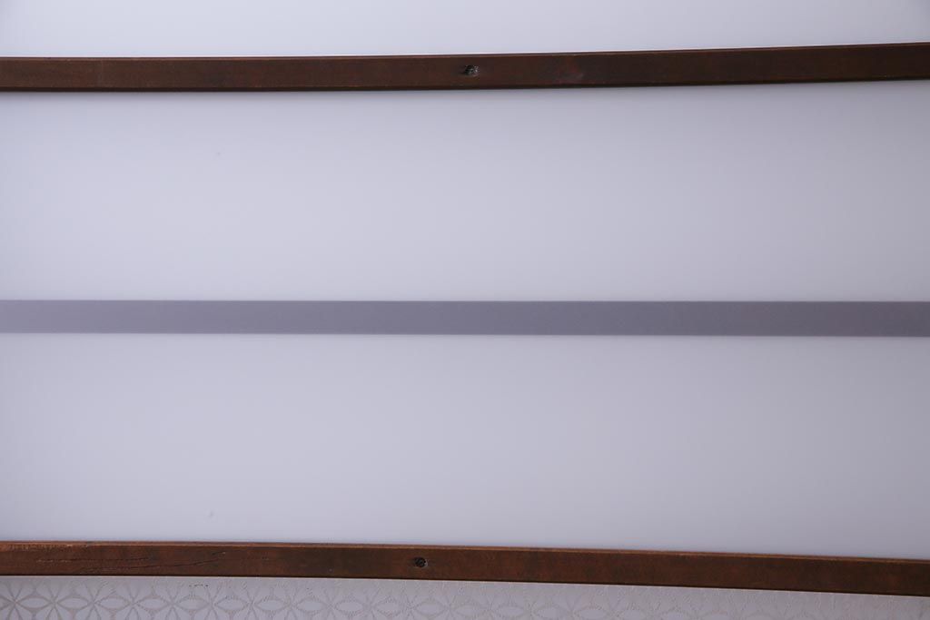 昭和レトロ　オリジナル花ガラス　明るい空間を作り出すガラス戸(引き戸、建具)2枚組