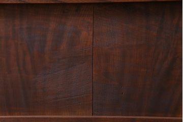 和製アンティーク　明治大正期　総ケヤキ材で作られた和モダンな印象のガラス入り蔵戸(建具、引き戸、玄関戸)