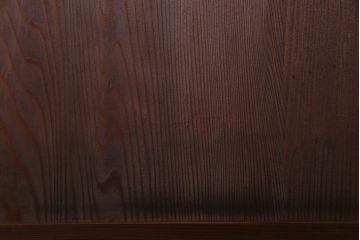 和製アンティーク　結霜ガラス入り　淡い色ガラスが優しげな雰囲気醸し出す板戸2枚セット(建具、引き戸)