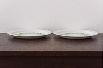 スペイン　PONTESA(ポンテサ)　グリーンの花柄が可愛らしいビンテージのプレート2点セット(中皿、洋食器)(1)