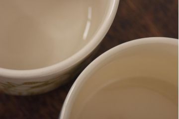 イギリスビンテージ　Hornsea(ホーンジー)　FLEUR(フルール)　カップ&ソーサー2客セット(コーヒーカップ)(2)