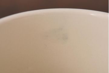 イギリスビンテージ　Hornsea(ホーンジー)　FLEUR(フルール)　トリオ2客セット(カップ&ソーサー、プレート)(1)