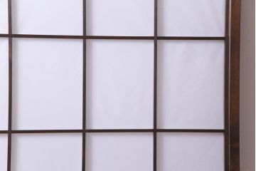 昭和中期　和の風情あふれる佇まいが魅力の雪見障子戸1枚(摺り上げ障子戸、引き戸、擦り上げ障子戸、擦上障子戸、建具)