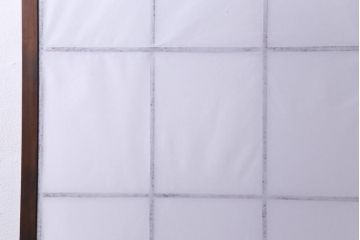 昭和中期　和の風情あふれる佇まいが魅力の雪見障子戸1枚(摺り上げ障子戸、引き戸、擦り上げ障子戸、擦上障子戸、建具)