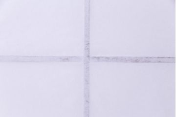 昭和中期　和の風情あふれる佇まいが魅力の雪見障子戸1枚(摺り上げ障子戸、引き戸、擦り上げ障子戸、擦上障子戸、建具)