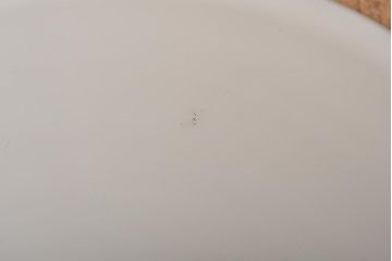 昭和レトロ　戦前　昔懐かしいデザインの平笠シェード(吊り下げ照明、天井照明、ペンダントライト)(1)