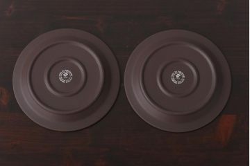 イギリスビンテージ　Hornsea(ホーンジー)　SIENNA(シエナ)　トリオ2客セット(カップ&ソーサー、プレート)(2)