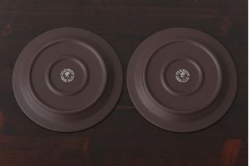 イギリスビンテージ　Hornsea(ホーンジー)　SIENNA(シエナ)　トリオ2客セット(カップ&ソーサー、プレート)(1)