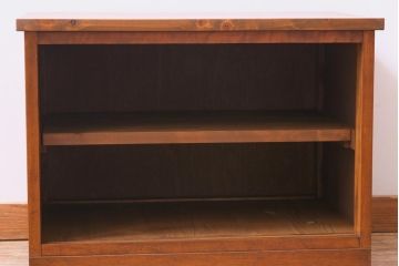 レトロ家具　昭和レトロ　モールガラス入り!　シンプルなデザインの小振りなローボード(収納棚、戸棚)