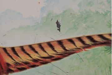 アンティーク雑貨　イギリスビンテージ　Cadbury(キャドバリー)　キジの絵のティン缶(ブリキ缶)