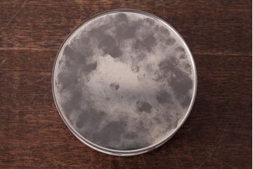 アンティーク雑貨　イギリスビンテージ　ビビットな色合いが可愛らしいティン缶(ブリキ缶、ビスケット缶)