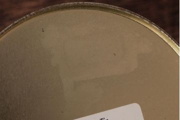 アンティーク雑貨　イギリスビンテージ　Grandma Wild's(グランマ・ワイルド)　淡い色合いが愛らしいティン缶(ブリキ缶、ビスケット缶)