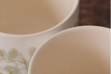 イギリスビンテージ　Hornsea(ホーンジー)　FLEUR(フルール)　淡い色合いが優しげなカップ&ソーサー2客セット(コーヒーカップ)(1)