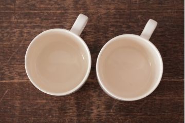 イギリスビンテージ　Hornsea(ホーンジー)　FLEUR(フルール)　淡い色合いが優しげなカップ&ソーサー2客セット(コーヒーカップ)(1)