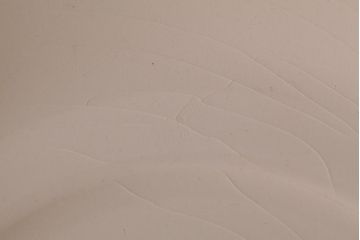 イギリスビンテージ　Hornsea(ホーンジー)　FLEUR(フルール)　カップ&ソーサー2客セット(コーヒーカップ)