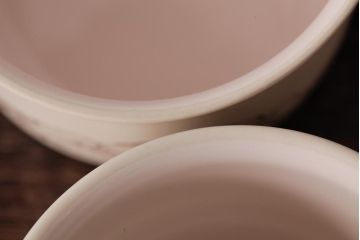 イギリスビンテージ　Hornsea(ホーンジー)　トリオ2客セット(カップ&ソーサー、プレート)(1)