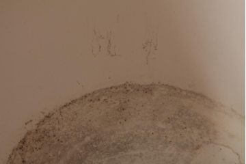 アンティーク雑貨　昭和期　優しげな雰囲気が可愛らしい瀬戸火鉢(手あぶり、鉢カバー)
