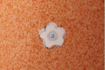 アンティーク雑貨　昭和期　優しげな雰囲気が可愛らしい瀬戸火鉢(手あぶり、鉢カバー)