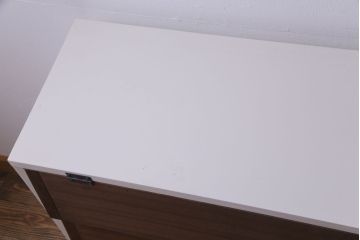 ラフジュ工房オリジナル　コントラストが可愛らしいパタパタ扉のペイント収納棚(戸棚、下駄箱、キャビネット)