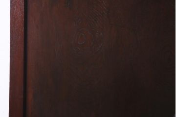 和製アンティーク　明治期　欅一枚板　漆塗りが上品な印象与える蔵戸(建具、引き戸、玄関戸)