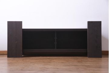 ラフジュ工房オリジナル　リメイク　明治期の味わい深い建具を使った脚付きローボード(戸棚、テレビボード、収納棚)