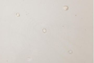 古民具・骨董　色絵　鮮やかな色使いが目を引く鳳凰紋の二尺大皿(絵皿、飾り皿)