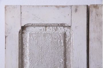 フランスアンティーク　シャビーな美しさが漂うペイントドア一対(木製扉、親子ドア、ディスプレイ)