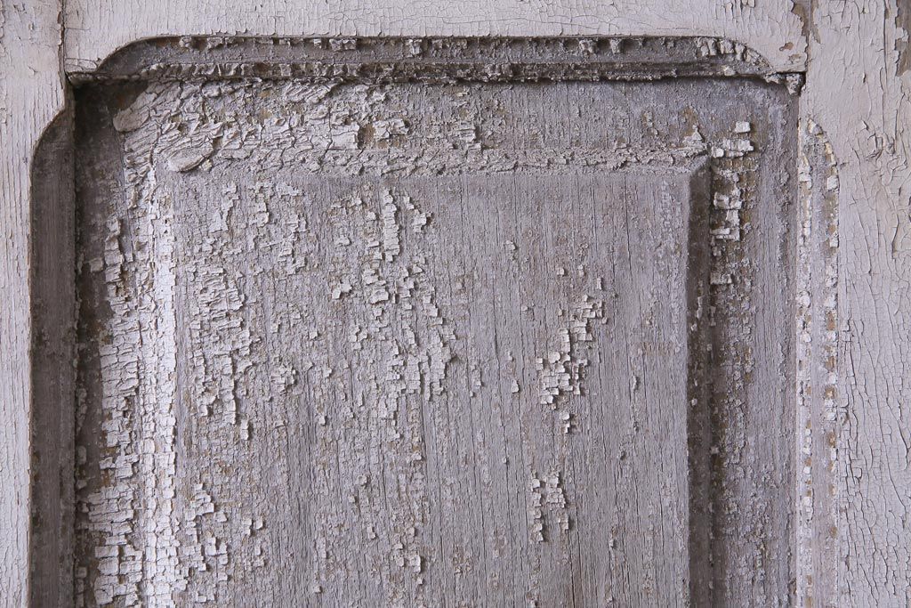 フランスアンティーク　シャビーな美しさが漂うペイントドア一対(木製扉、親子ドア、ディスプレイ)