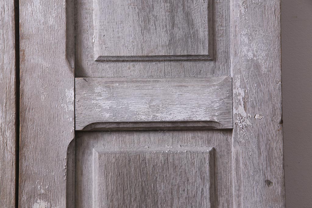 フランスアンティーク　シャビーな美しさが漂うペイントドア一対(木製扉、親子ドア、ディスプレイ)
