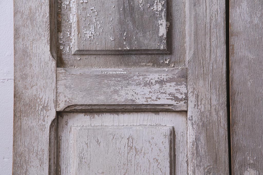 フランスアンティーク　シャビーな美しさが漂うペイントドア一対(木製扉、親子ドア、ディスプレイ)
