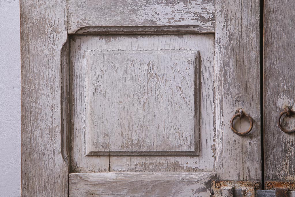 フランスアンティーク　シャビーな美しさが漂うペイントドア一対(木製扉、親子ドア、ディスプレイ)