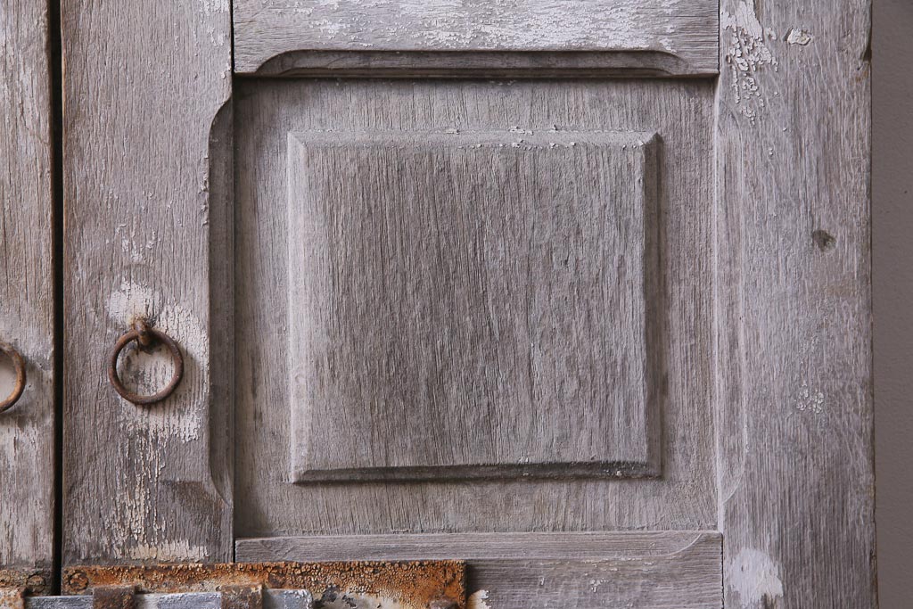 フランスアンティーク　シャビーな美しさが漂うペイントドア一対(木製扉、親子ドア、ディスプレイ)