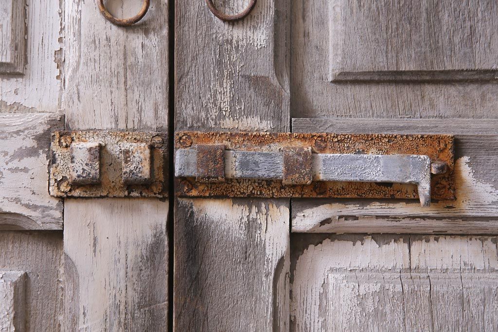 フランスアンティーク　シャビーな美しさが漂うペイントドア一対(木製扉、親子ドア、ディスプレイ)