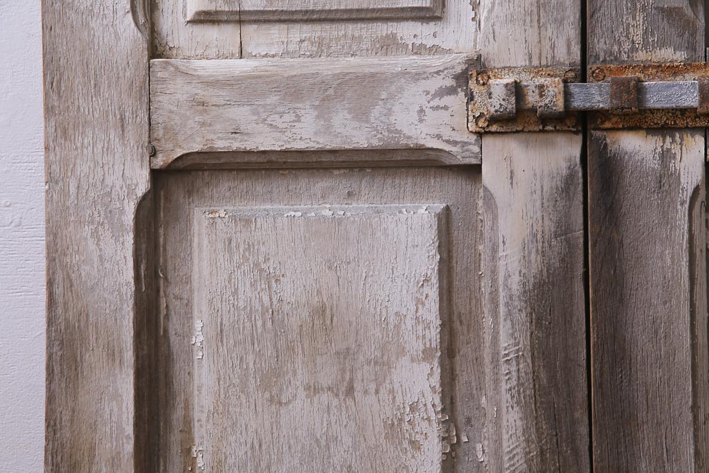 フランスアンティーク　シャビーな美しさが漂うペイントドア一対(木製扉、親子ドア、ディスプレイ)
