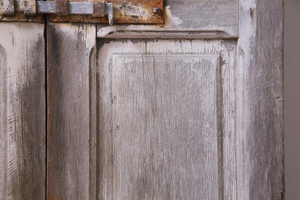フランスアンティーク　シャビーな美しさが漂うペイントドア一対(木製扉、親子ドア、ディスプレイ)